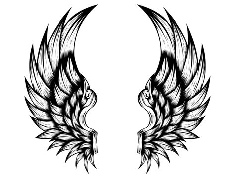 Angel wings vector design free download 8902219 Vector Art at Vecteezy