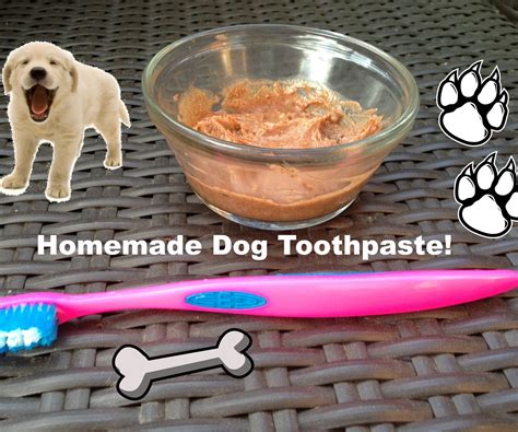 Homemade Toothpaste for Dogs! : 6 Steps (with Pictures) - Instructables