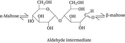 Structure Of Maltose | bartleby