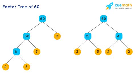 What Are Two Different Factor Trees For 60? [Solved]