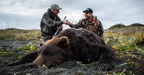 Brown Bear - Alaska Expedition Hunting