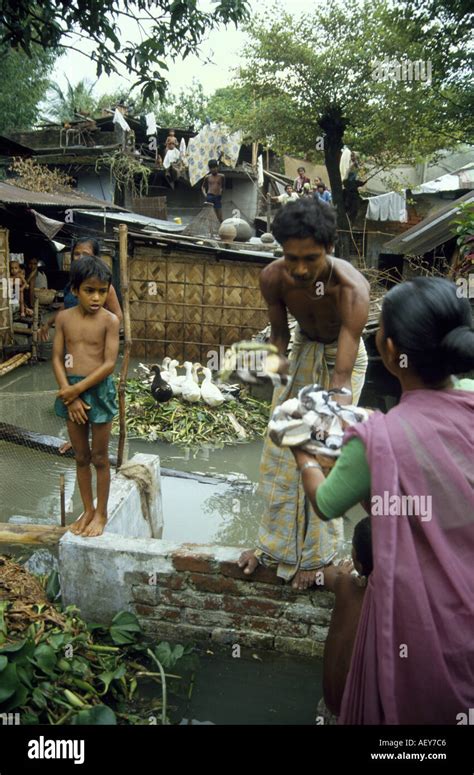 Bangladesh flood hi-res stock photography and images - Alamy