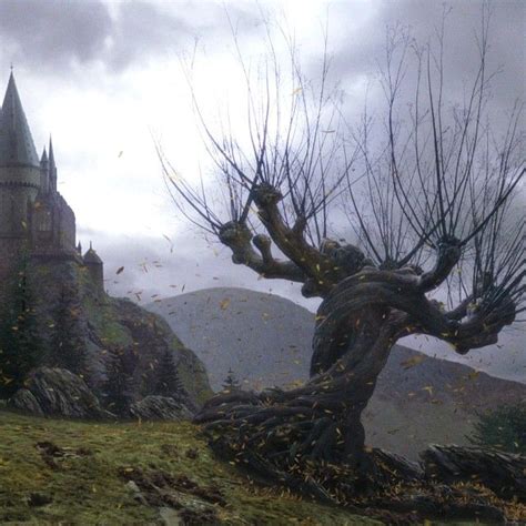 Harry Potter on Instagram: "Creating the Whomping Willow tree required ...