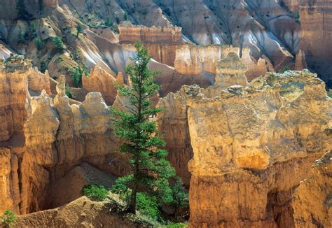 Free Stock Photo of Glowing Hoodoos | Download Free Images and Free ...