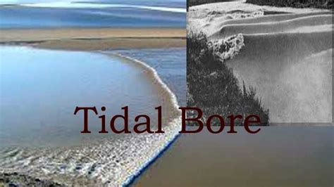 What is a Tidal Bore?