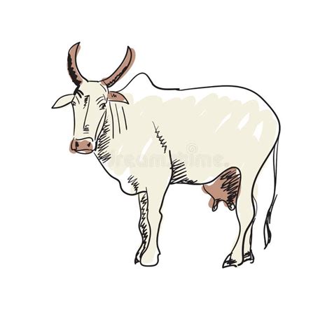 Indian Holy Cow Stock Illustrations – 467 Indian Holy Cow Stock Illustrations, Vectors & Clipart ...