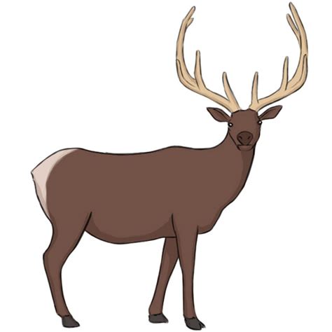 How to Draw an Elk - Easy Drawing Art