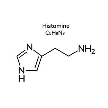 Histamin 이미지 – 찾아보기 2,339 스톡 사진, 벡터 및 비디오 | Adobe Stock