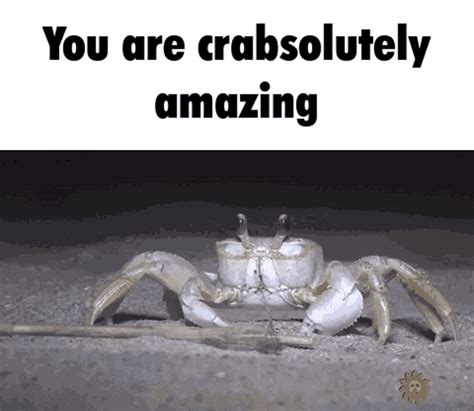 Shrimple Puns GIF - Shrimple Puns Sea Puns - Discover & Share GIFs