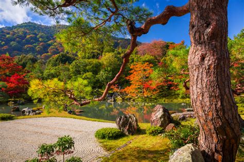 Tenryuji – Temple of the Heavenly Dragon – UNESCO’s World Heritage Site walking tour - Tea ...