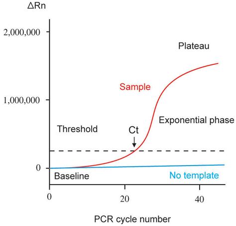 Genes | Free Full-Text | Real-Time Polymerase Chain Reaction: Current Techniques, Applications ...