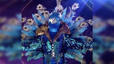 Who Is Behind the Peacock Mask on 'Masked Singer'? Here Are Some Guesses - Newsweek