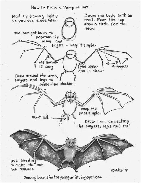 How to Draw Worksheets for The Young Artist: How To Draw a Vampire Bat, Free Printable Worksheet