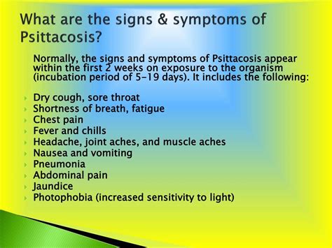 PPT - Psittacosis: Causes, Symptoms, Daignosis, Prevention and Treatment PowerPoint Presentation ...