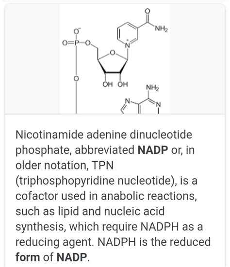 What is the full form of NADP? - Find 10 Answers & Solutions | LearnPick Resources