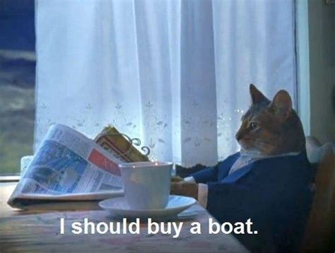 I Should Buy a Boat Cat | Know Your Meme