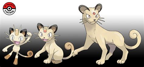 Pokemon Meowth Evolution Chart