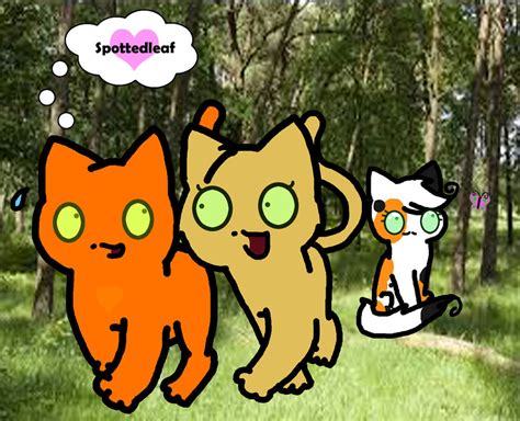 Fireheart, Sandstorm, and Spottedleaf by Wolfpaw67 on DeviantArt