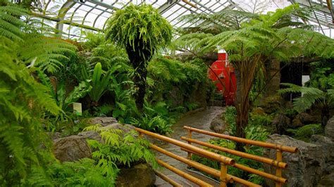 Montreal Botanical Garden in Montreal, Quebec | Expedia