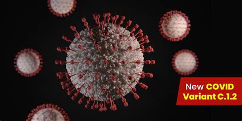 South Africa Detects C.1.2, A New COVID-19 Variant: What We Know About ...