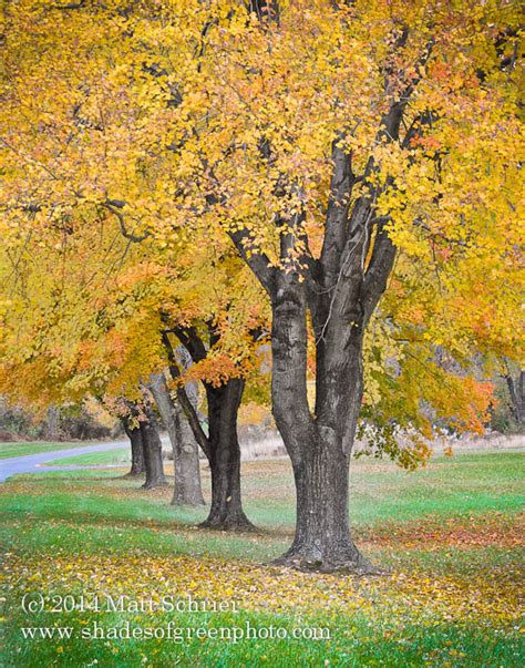 Fall Foliage in Bucks County | Words and Photographs