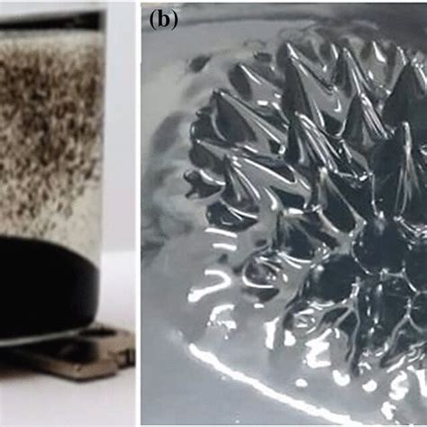 Magnetite nanoparticles a separated by strong magnet b spikes formed by ...