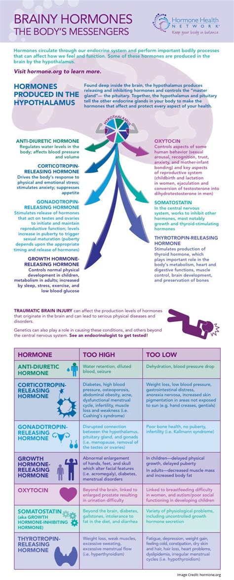 Hormone Imbalance: A Comprehensive Overview | Hormones nursing, Endocrine hormones, Endocrine system