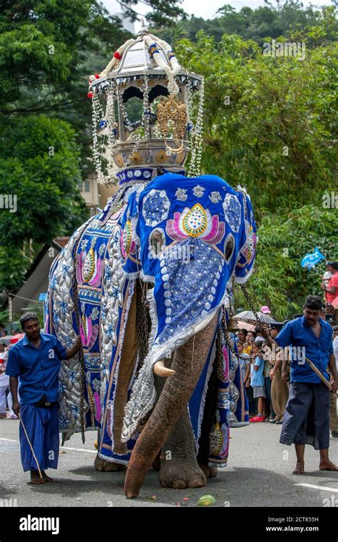 Sri Lankan Elephant Parade