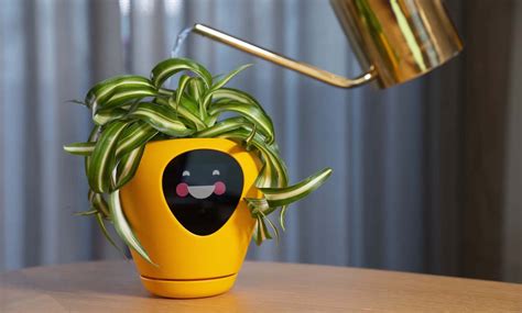 Gardening woes? This smart pot helps your plant express its 'feelings'