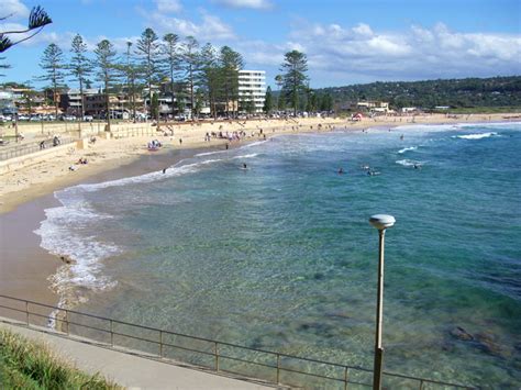 Things to do in Sydney - Dee Why BeachThings To Do In Sydney