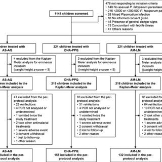 Treatment allocation and outcome among patients. Abbreviations: AM,... | Download Scientific Diagram