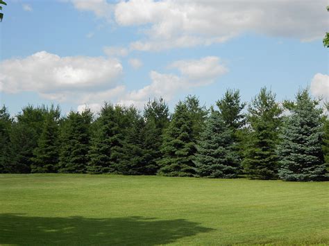 Hickory Lane Farms Screens and Windbreaks in Marysville, Ohio ...