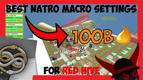 Best settings for Natro Macro (Red Hive) - YouTube