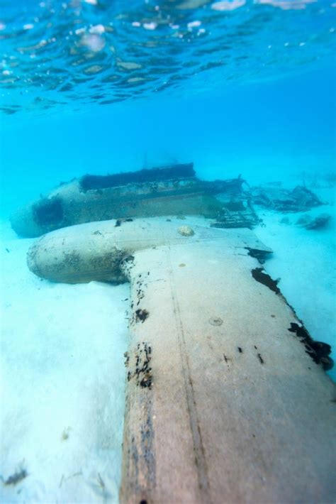 Scuba Diving in the Bahamas: Bimini Islands - The Salt Sirens