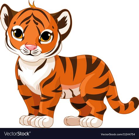 Baby tiger Royalty Free Vector Image - VectorStock