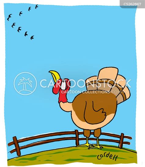 Wild Turkey Cartoons and Comics - funny pictures from CartoonStock