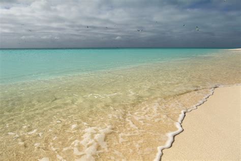 Midway Atoll National Wildlife Refuge + Battle of Midway National Memorial | Outdoor Project