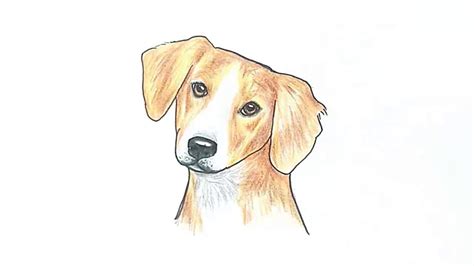 Dog Face Drawing Easy - Drawing Clipartmag | Bodaswasuas