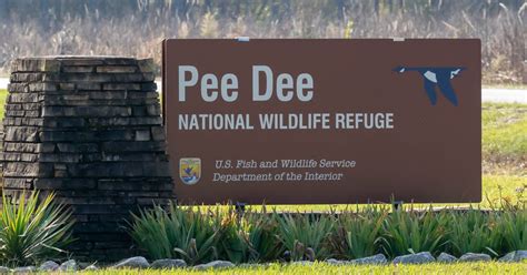 T & L Adventures: Pee Dee National Wildlife Refuge, North Carolina: 11 ...