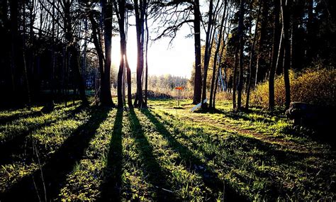 HD wallpaper: grass field, Gävle, Disc Golf, Frisbee, Shadows, nature, solar | Wallpaper Flare