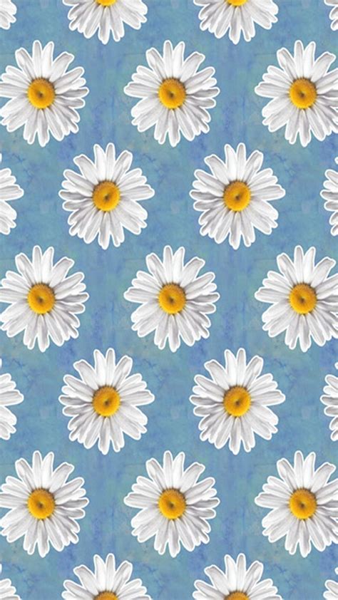 Daisy Aesthetic, Blue Daisy HD phone wallpaper | Pxfuel