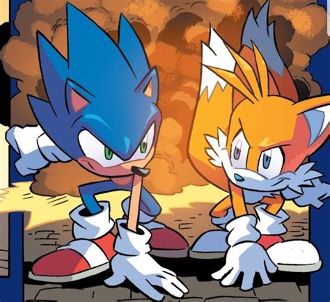 Sonic and tails from IDW Sonic the hedgehog issue 1 | Sonic, Sonic the hedgehog, Sonic fan ...