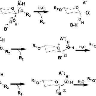 Three catalytic mechanisms of the glycosidases. a, the mechanism of... | Download Scientific Diagram