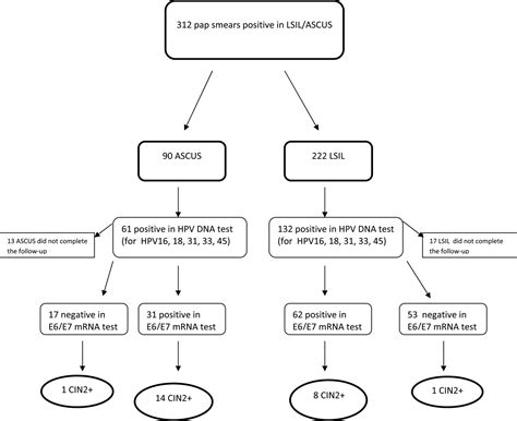 A prospective study of women with ASCUS or LSIL pap smears at baseline ...