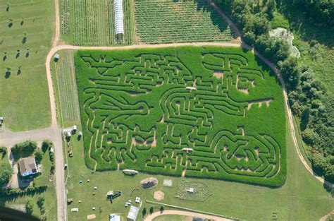 2017 Corn Maze Opens August 26th | Noggins Corner Farm Market