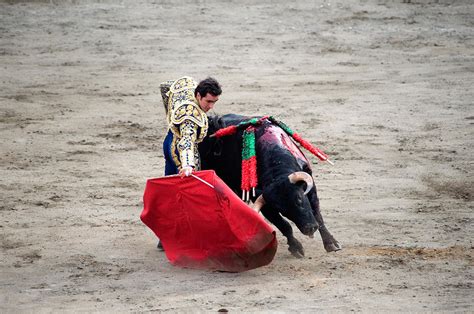 Matador And A Bull In A Bullring, Lima Photograph by Panoramic Images - Fine Art America