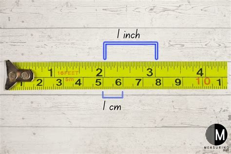 Examples Of Things Measured In Centimeters – Measuring Stuff