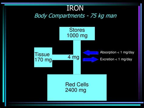 PPT - IRON METABOLISM DISORDERS PowerPoint Presentation, free download - ID:1285171