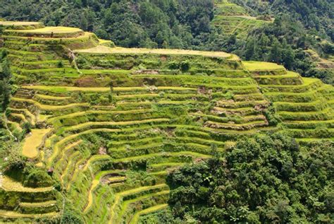 The 2000 years old Banaue Rice Terraces have been recognized as one of ...