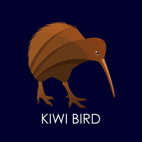 Modern colorful Kiwi bird logo design template vector illustration - MasterBundles